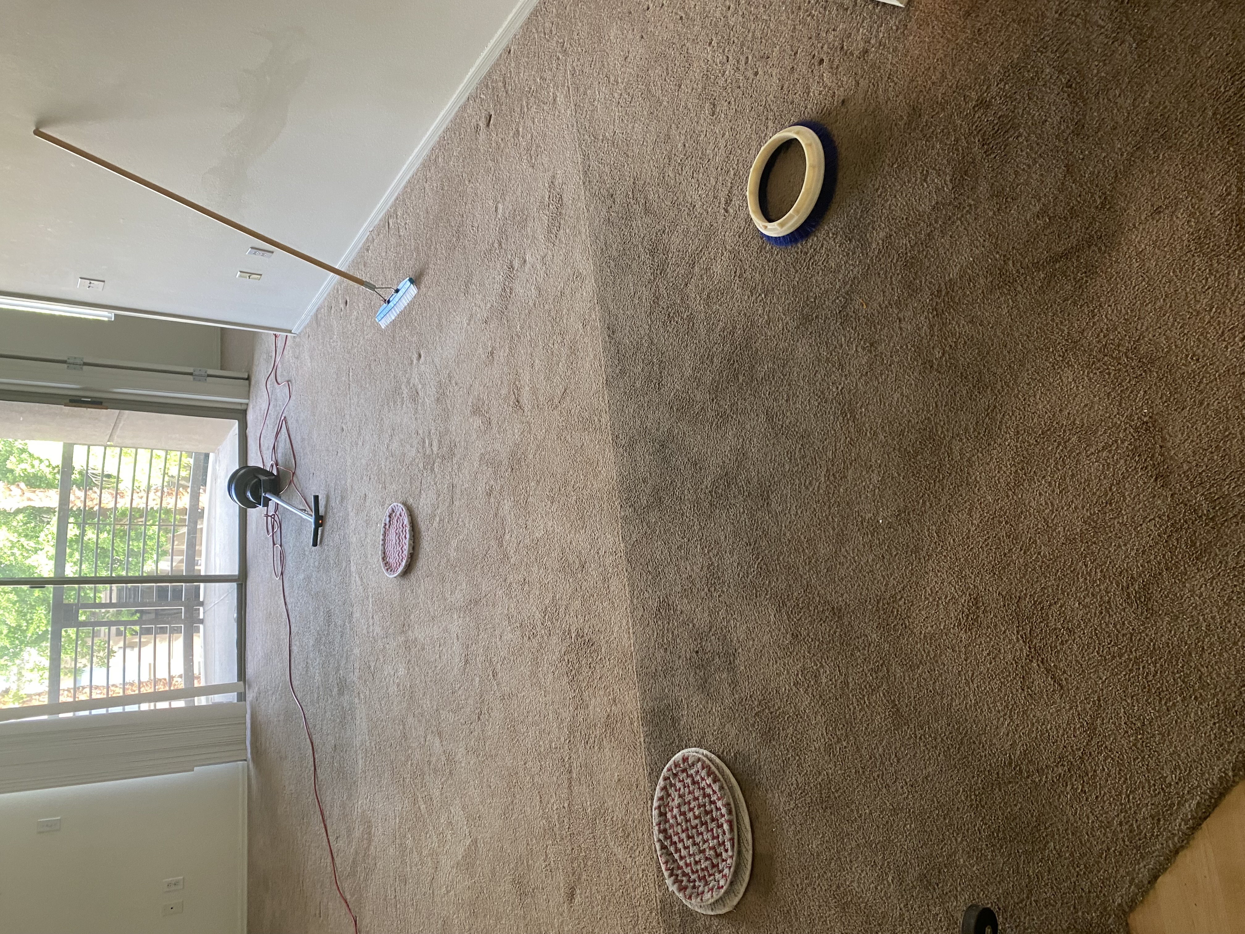 Carpet during professional cleaning showing before and after results